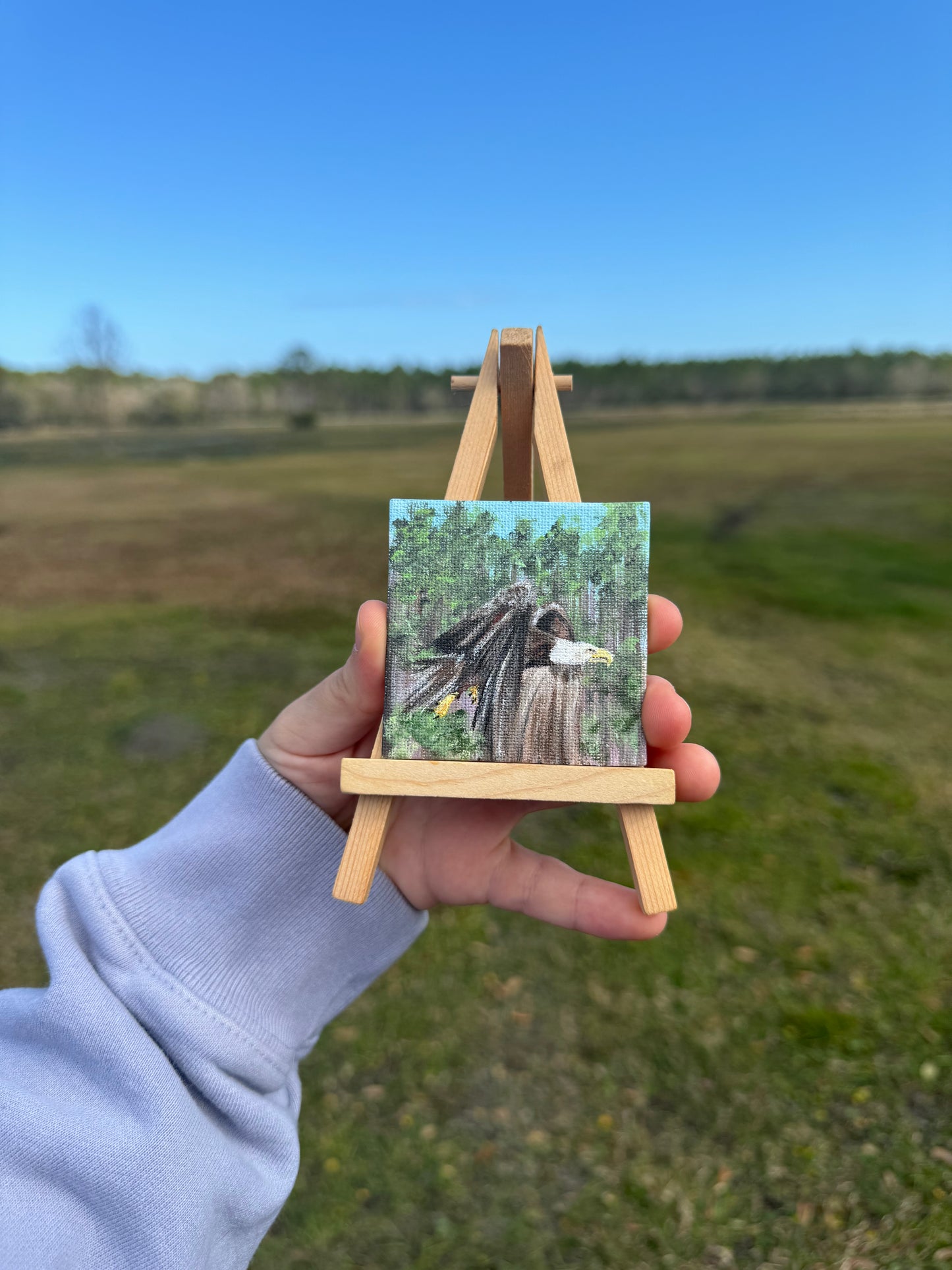 Mini Canvas Magnet- Bald Eagle