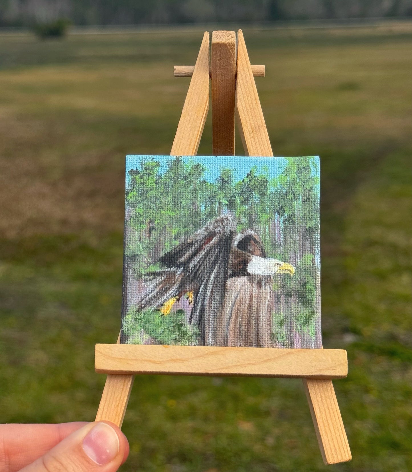 Mini Canvas Magnet- Bald Eagle