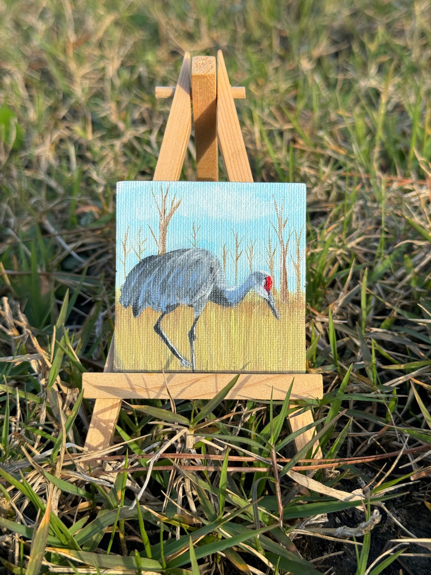 Mini Canvas Magnet- Sandhill Crane