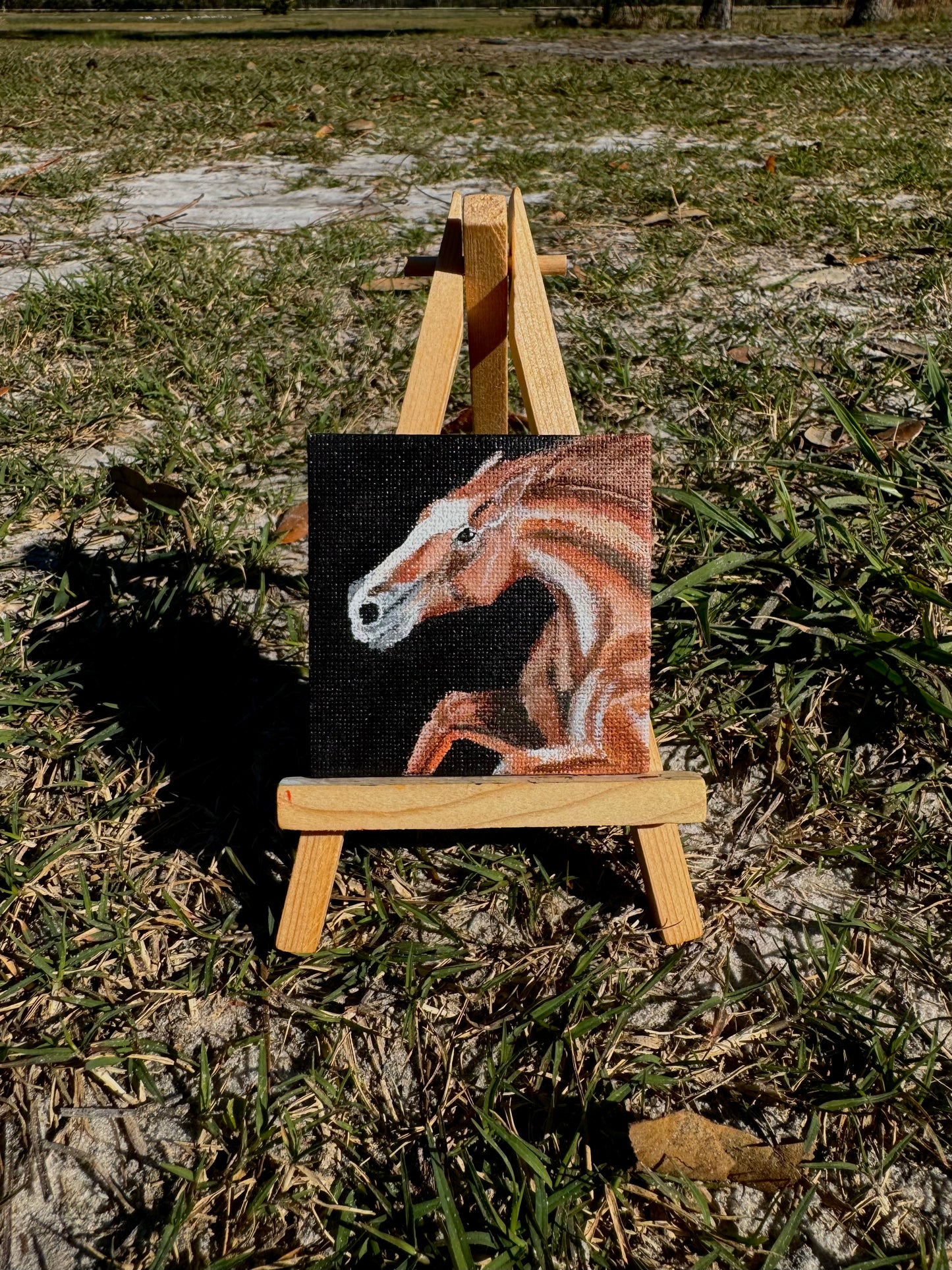 Mini Canvas Magnet- Chestnut Horse Rearing