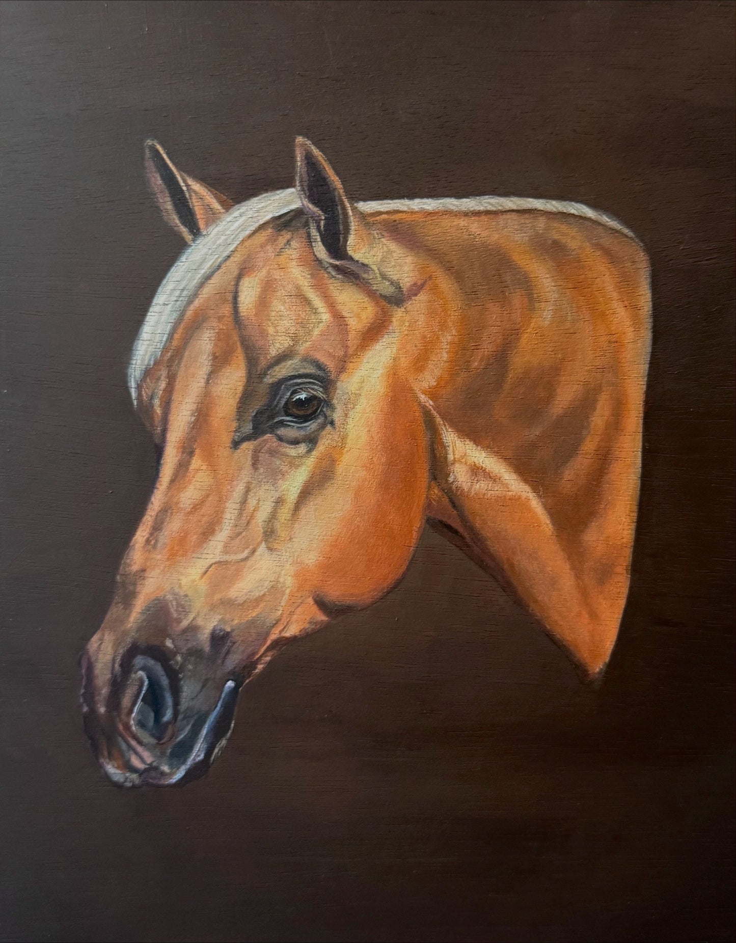 Custom Embellished Horse Print