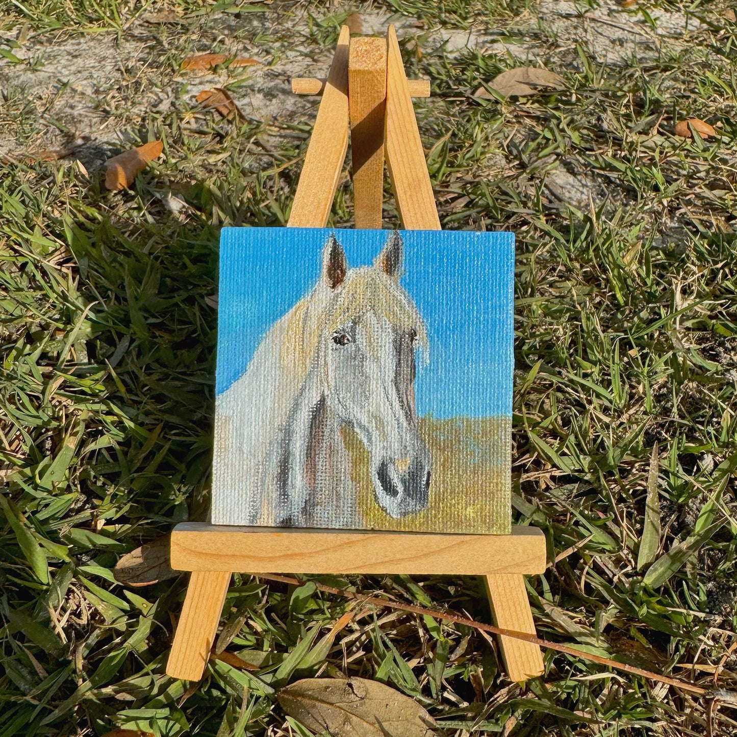 Mini Canvas Magnet- White Horse Portrait