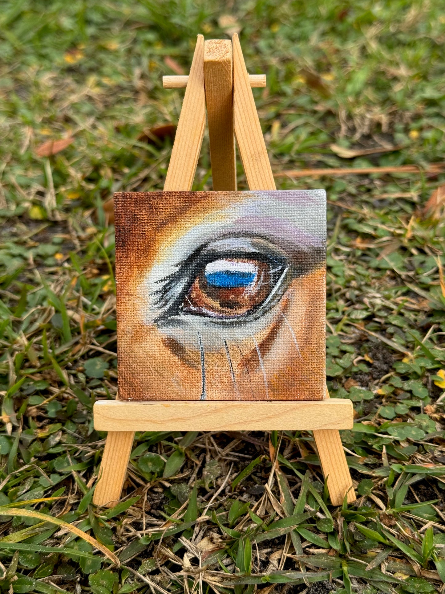 Mini Canvas Magnet- The Eye Is The Mirror To The Soul